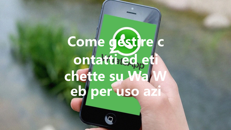Come gestire contatti ed etichette su Wa Web per uso aziendale 三