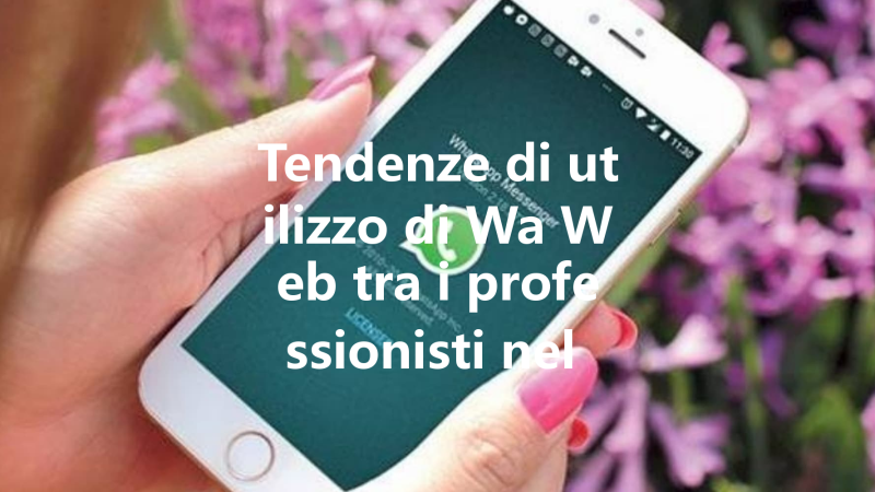 Tendenze di utilizzo di Wa Web tra i professionisti nel 2026: ana 三